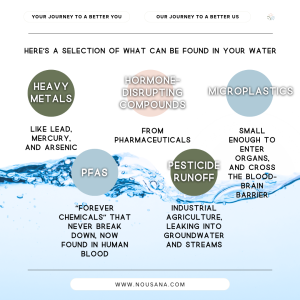 Read more about the article Whats In Your Water?