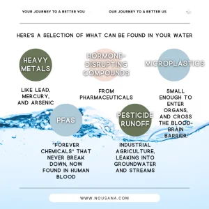 Read more about the article What’s in Your Water?