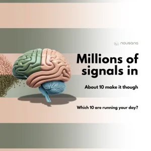 Read more about the article Your brain is drowning in data. The skill is teaching it what to notice.