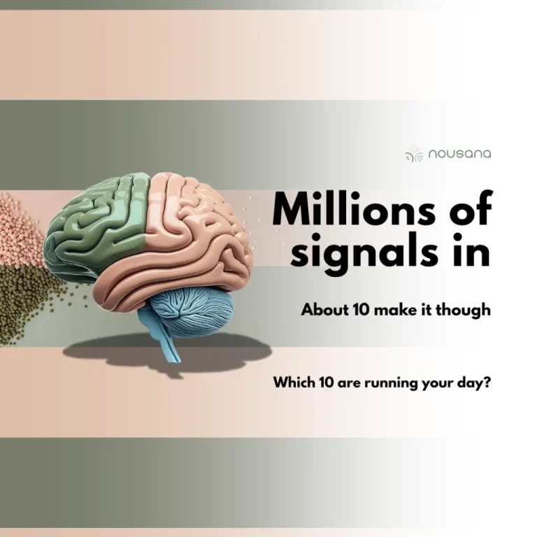 Your brain is drowning in data. The skill is teaching it what to notice.