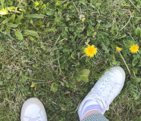 dandelions feet
