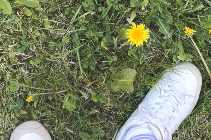 dandelions feet