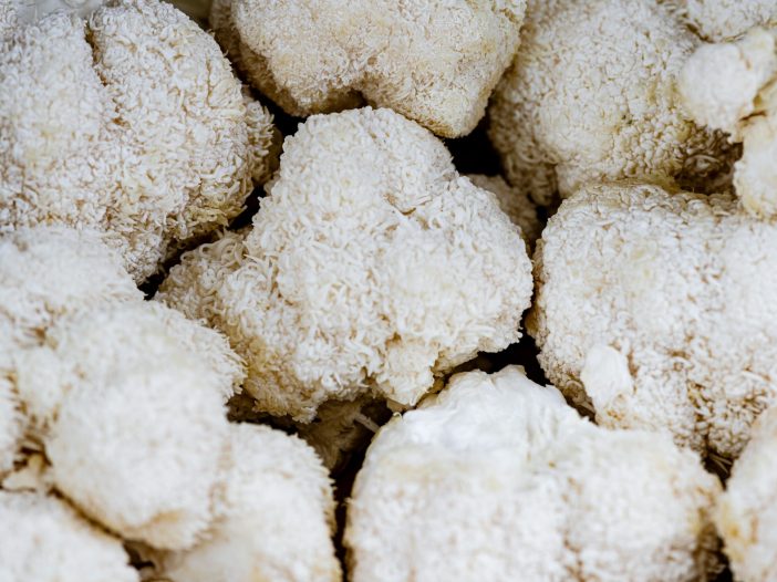 lions mane nousana 3